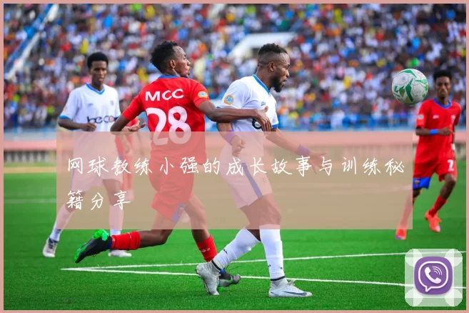 网球教练小强的成长故事与训练秘籍分享