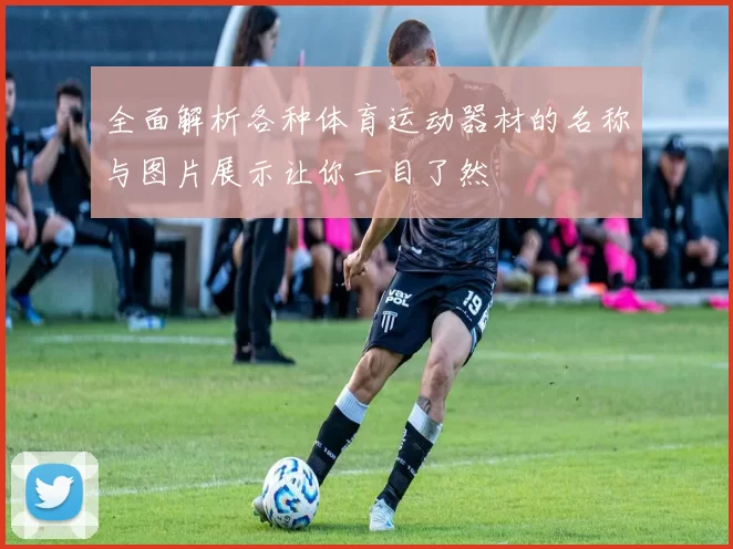 全面解析各种体育运动器材的名称与图片展示让你一目了然